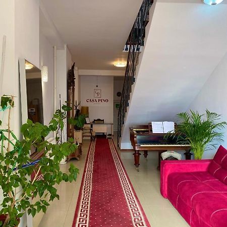 Casa Pino Hotel Braşov Eksteriør billede