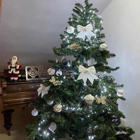 Casa Pino Hotel Braşov Eksteriør billede